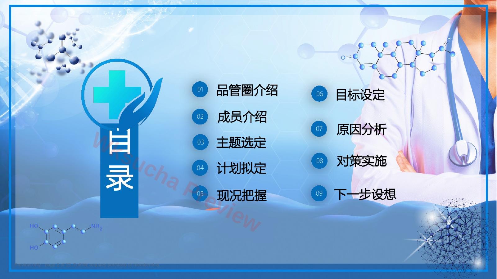 预览第 2 页