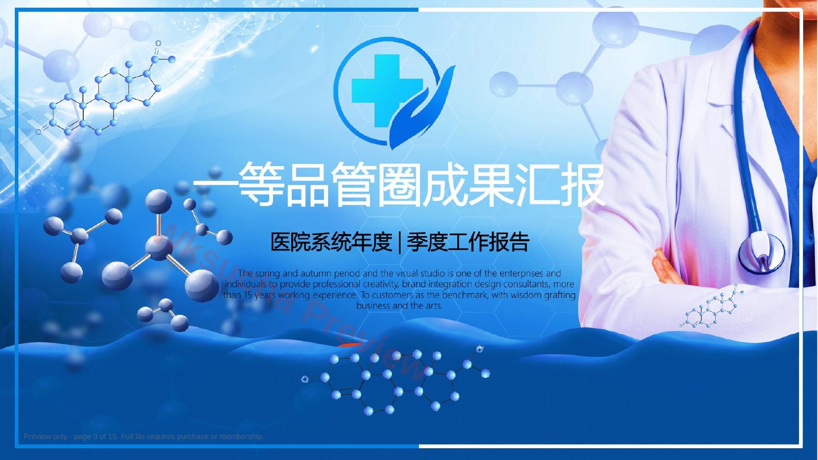 预览第 3 页