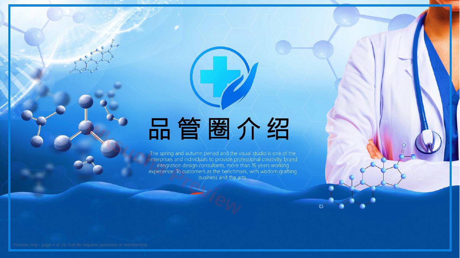 预览第 4 页