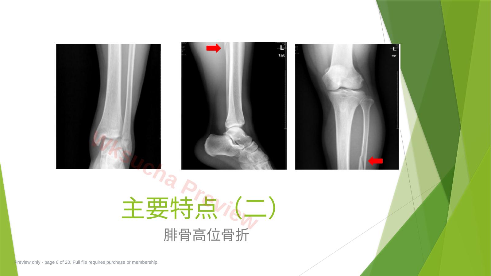 预览第 8 页