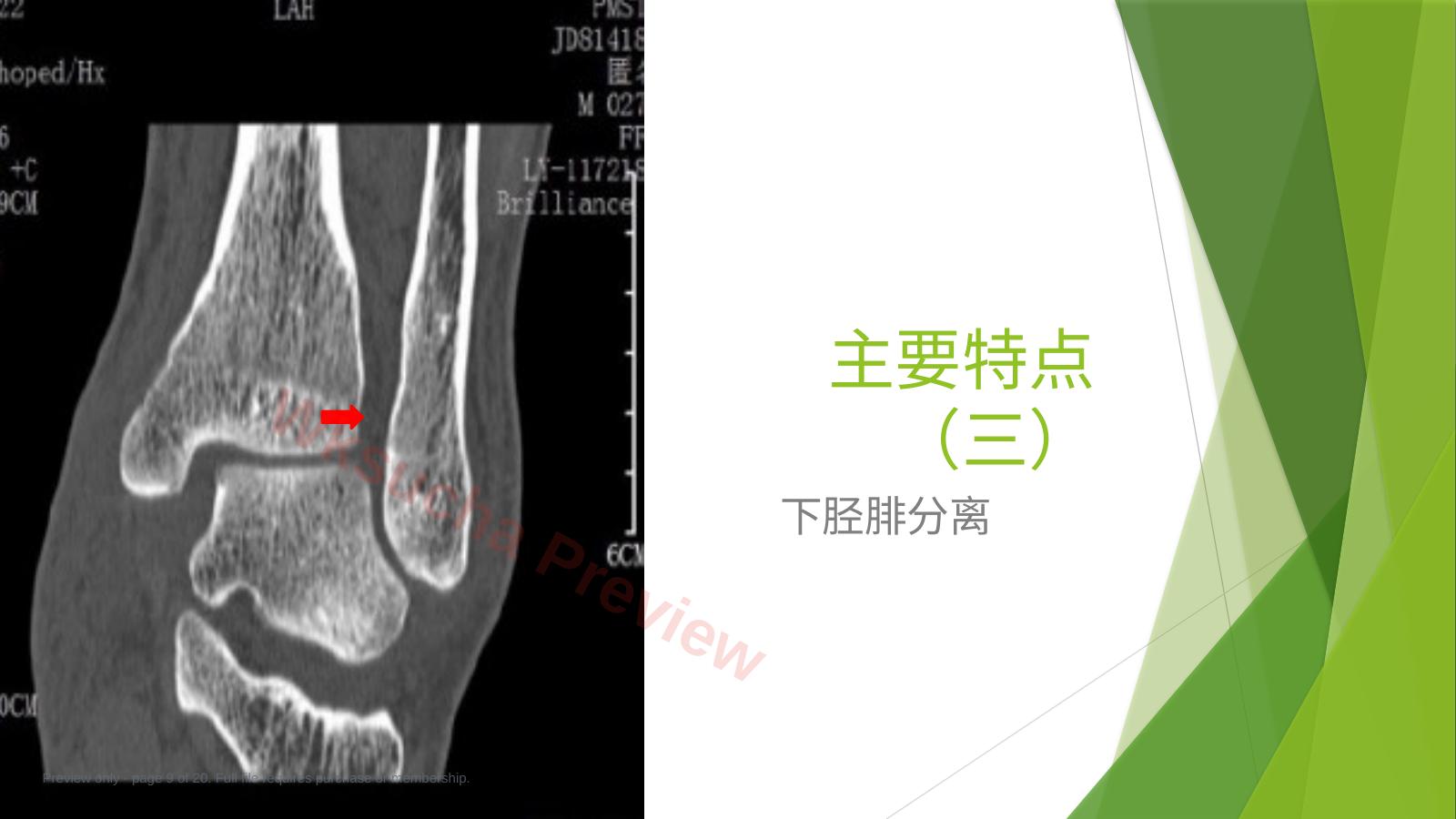 预览第 9 页