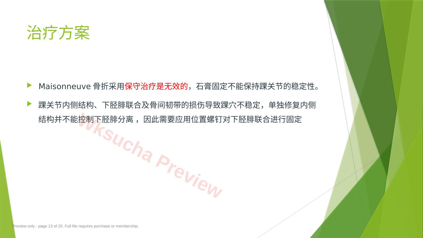 预览第 13 页