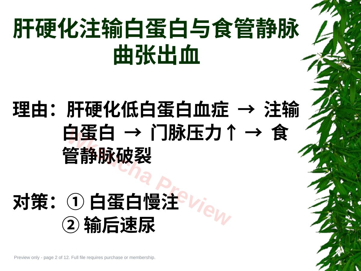 预览第 2 页