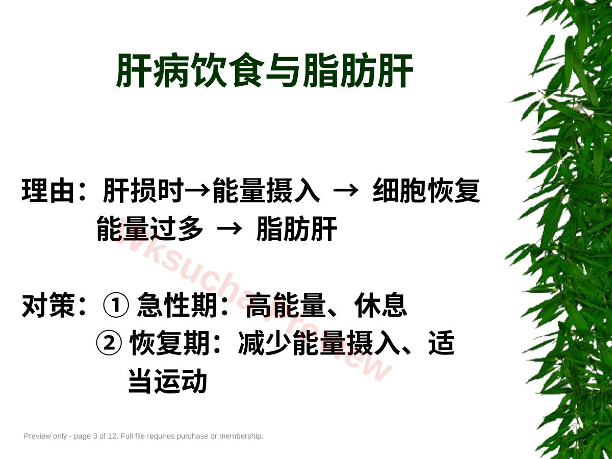 预览第 3 页