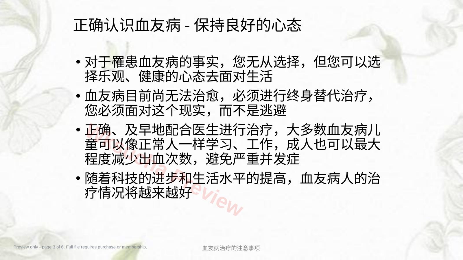 预览第 3 页