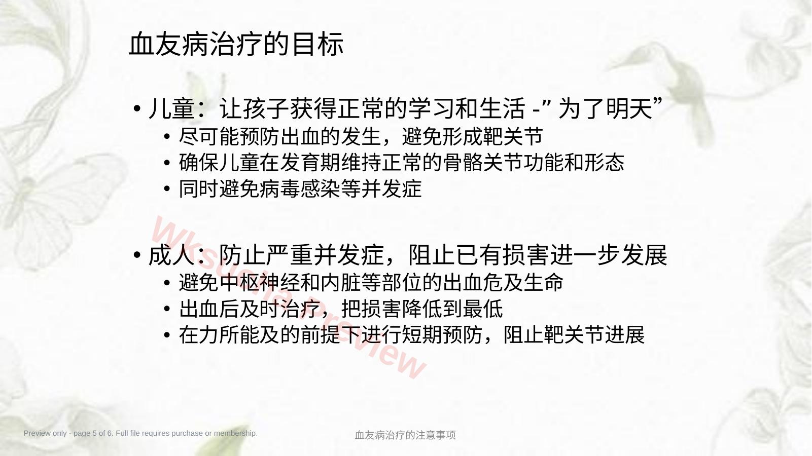 预览第 5 页