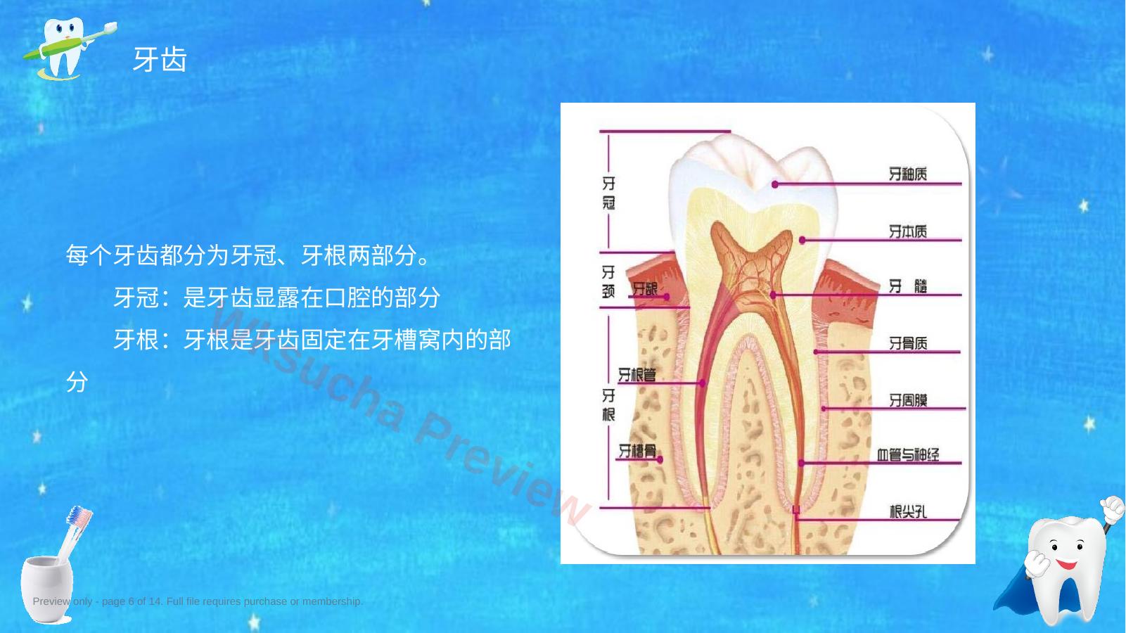 预览第 6 页