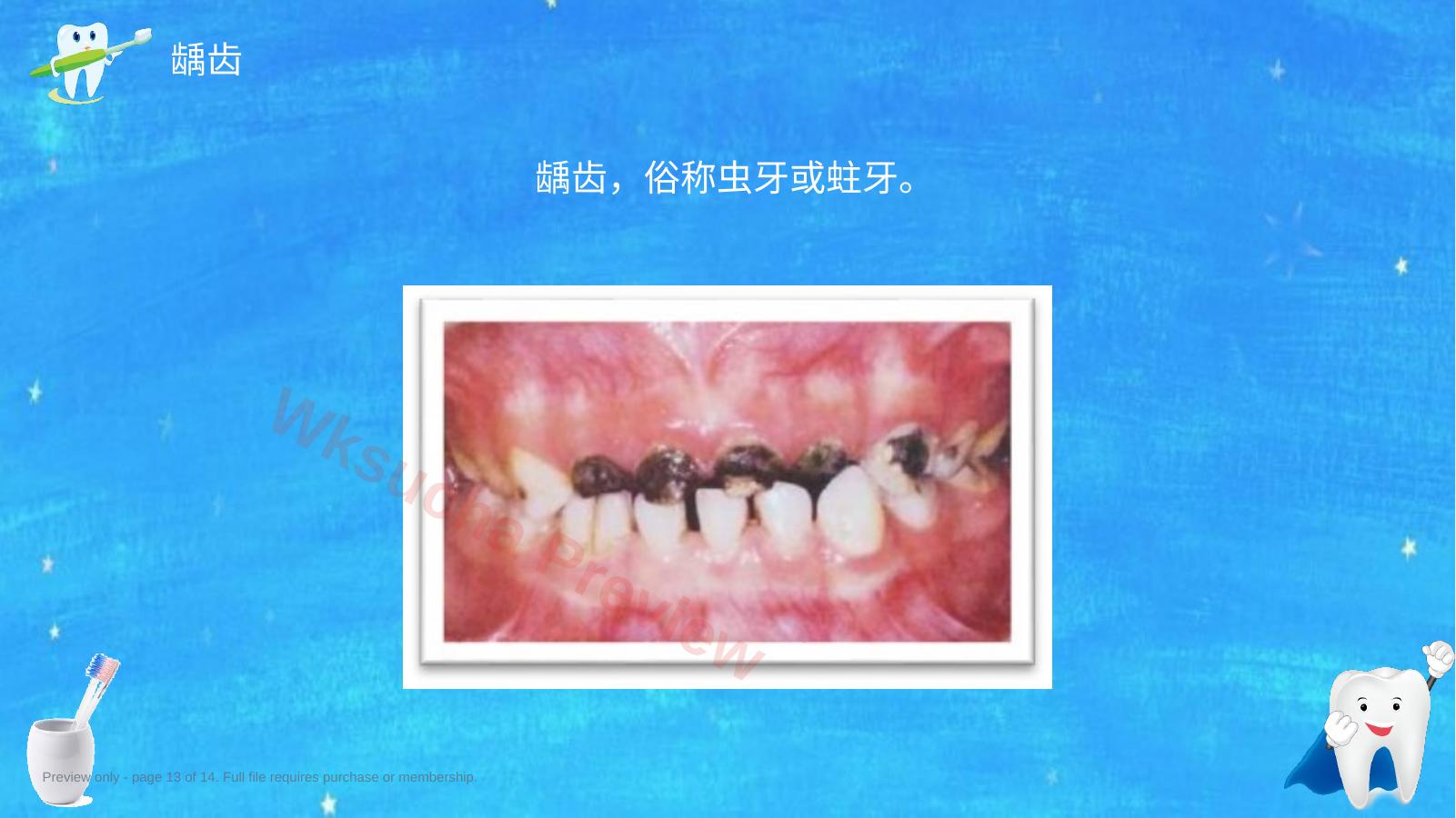 预览第 13 页