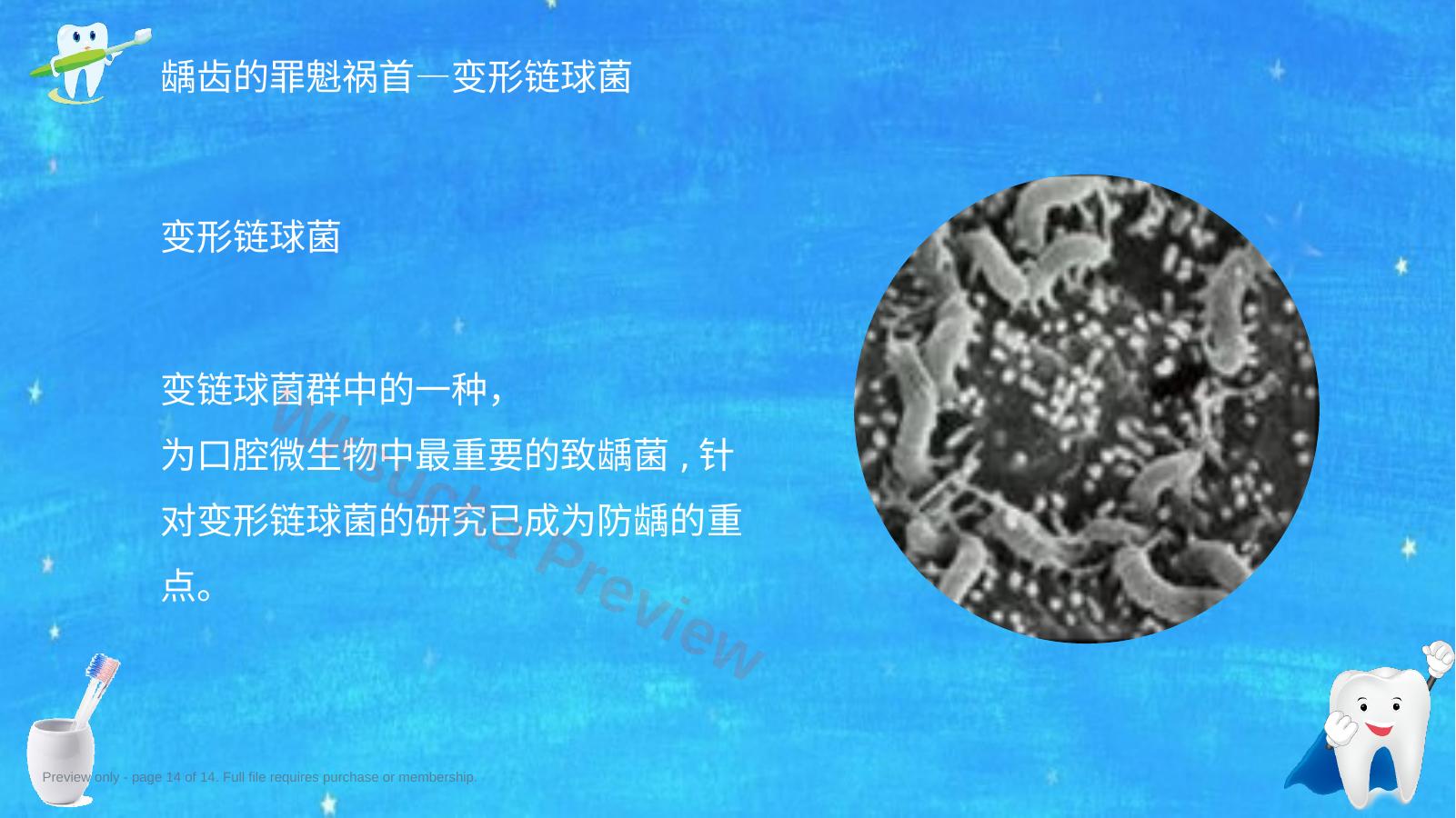 预览第 14 页