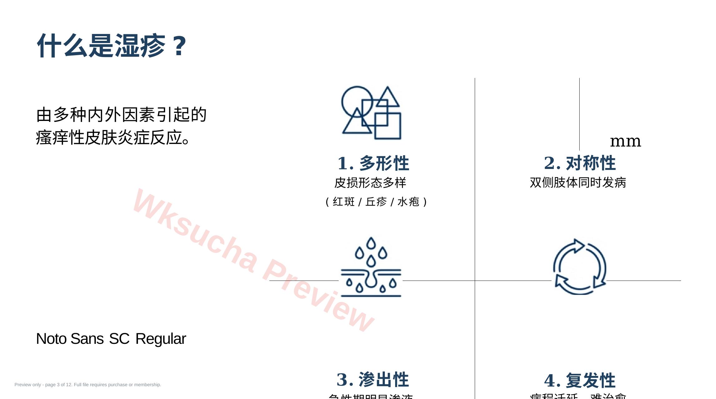 预览第 3 页
