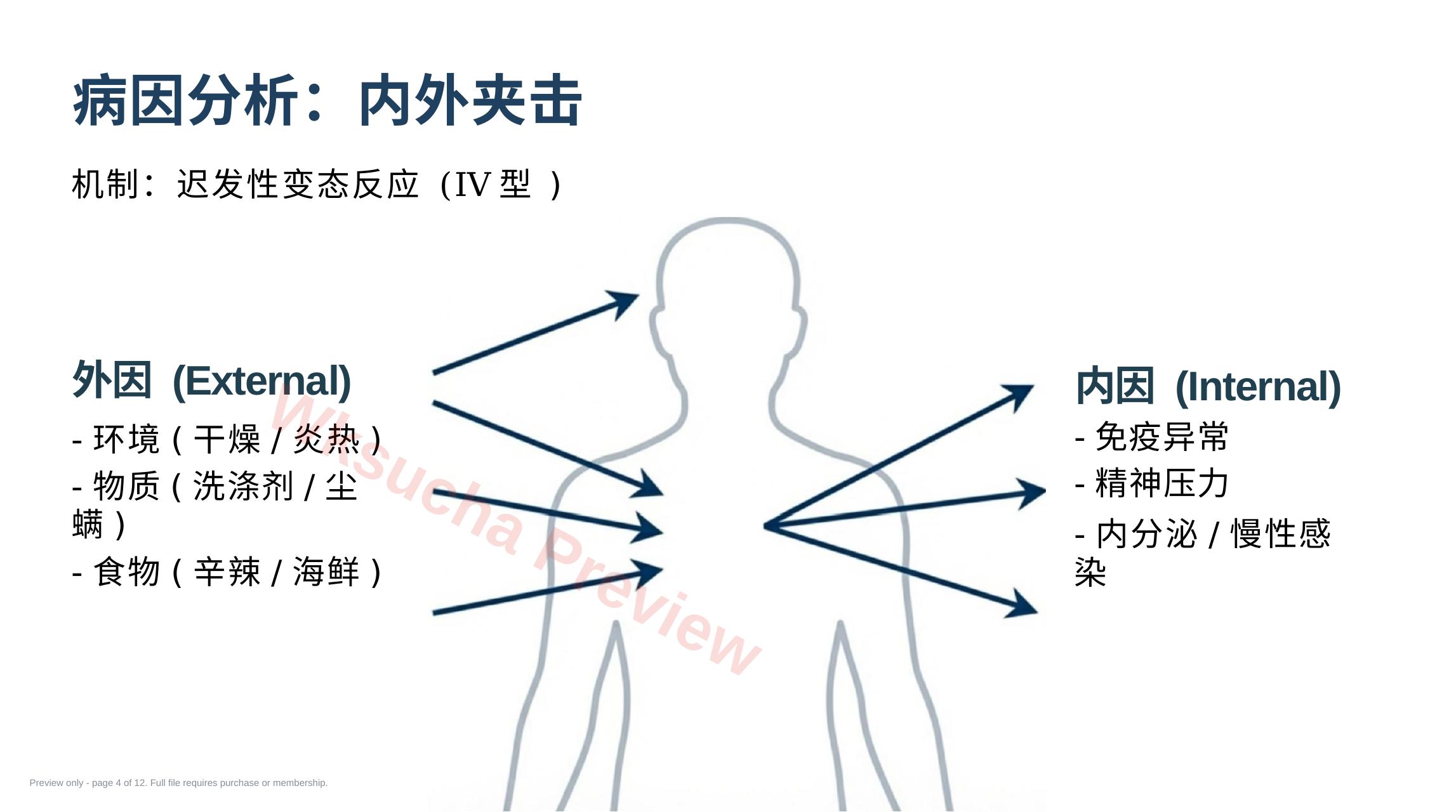 预览第 4 页