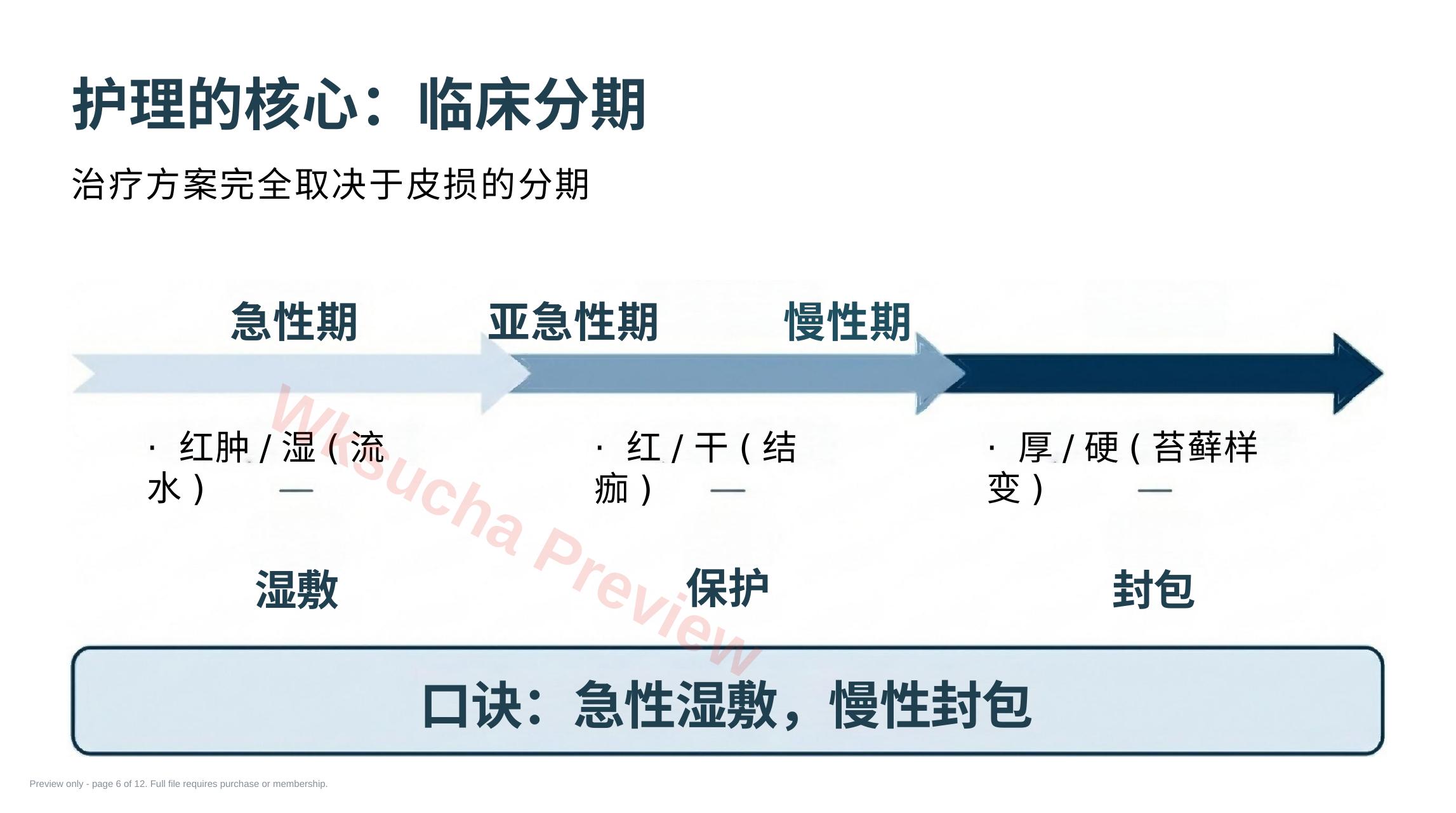 预览第 6 页