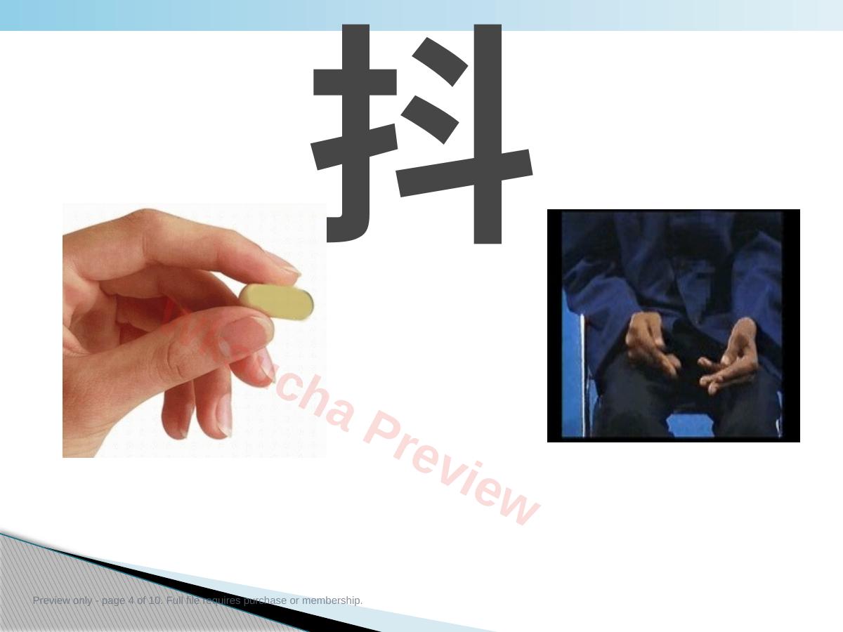 预览第 4 页