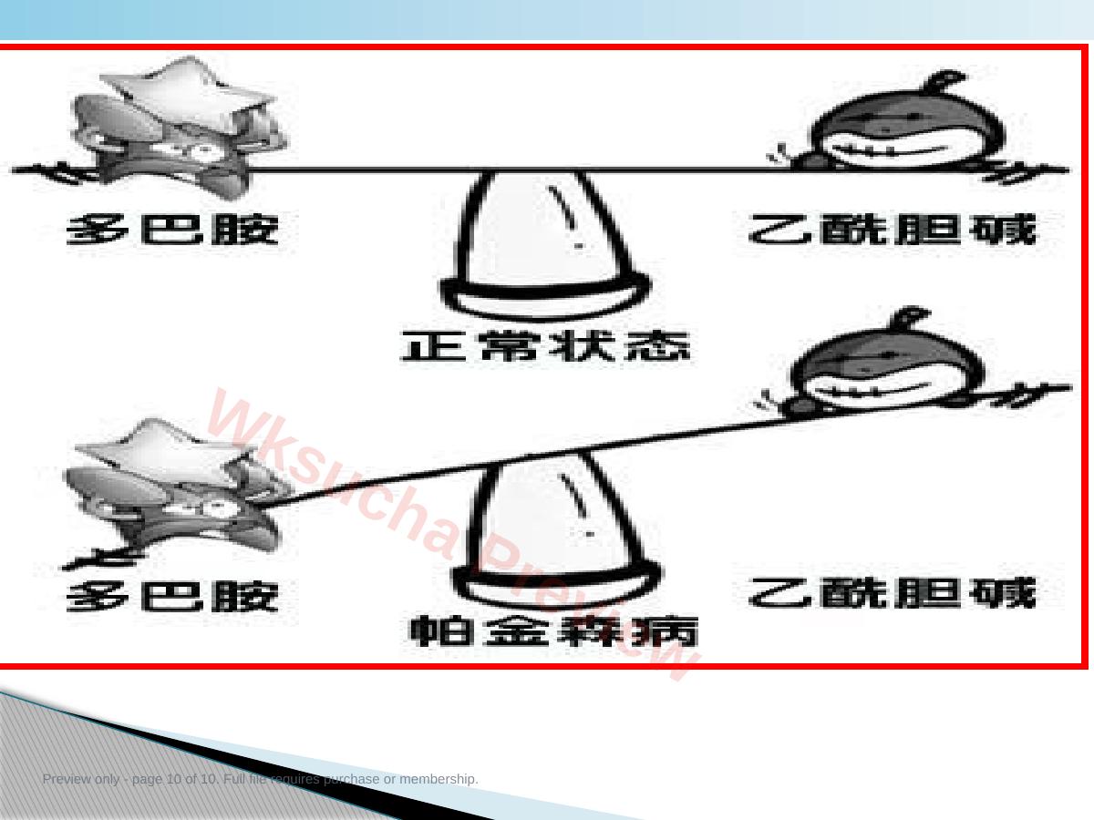 预览第 10 页