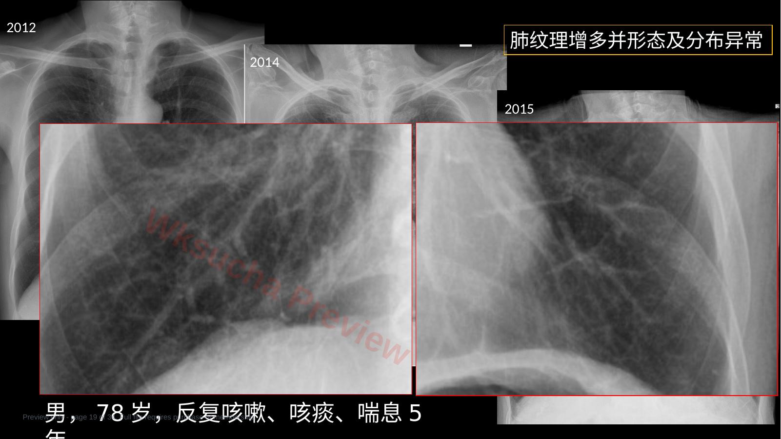 预览第 19 页