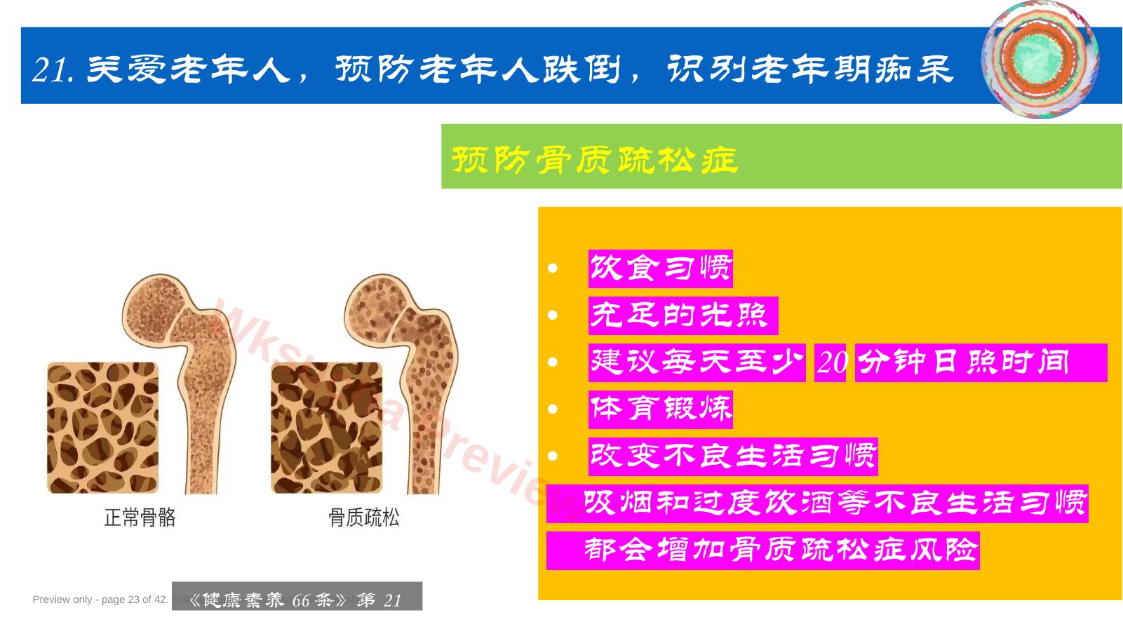 预览第 23 页