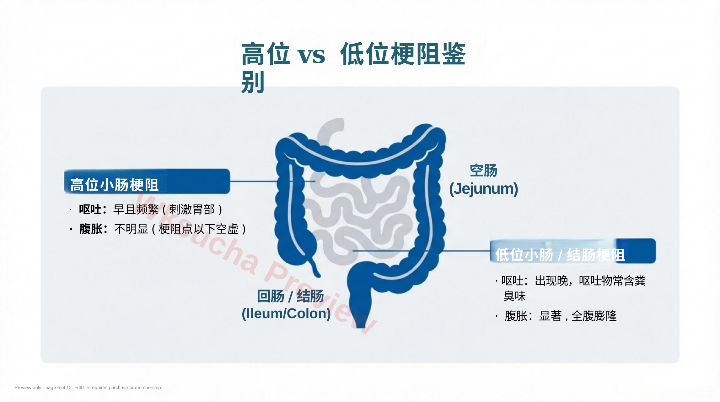 预览第 6 页