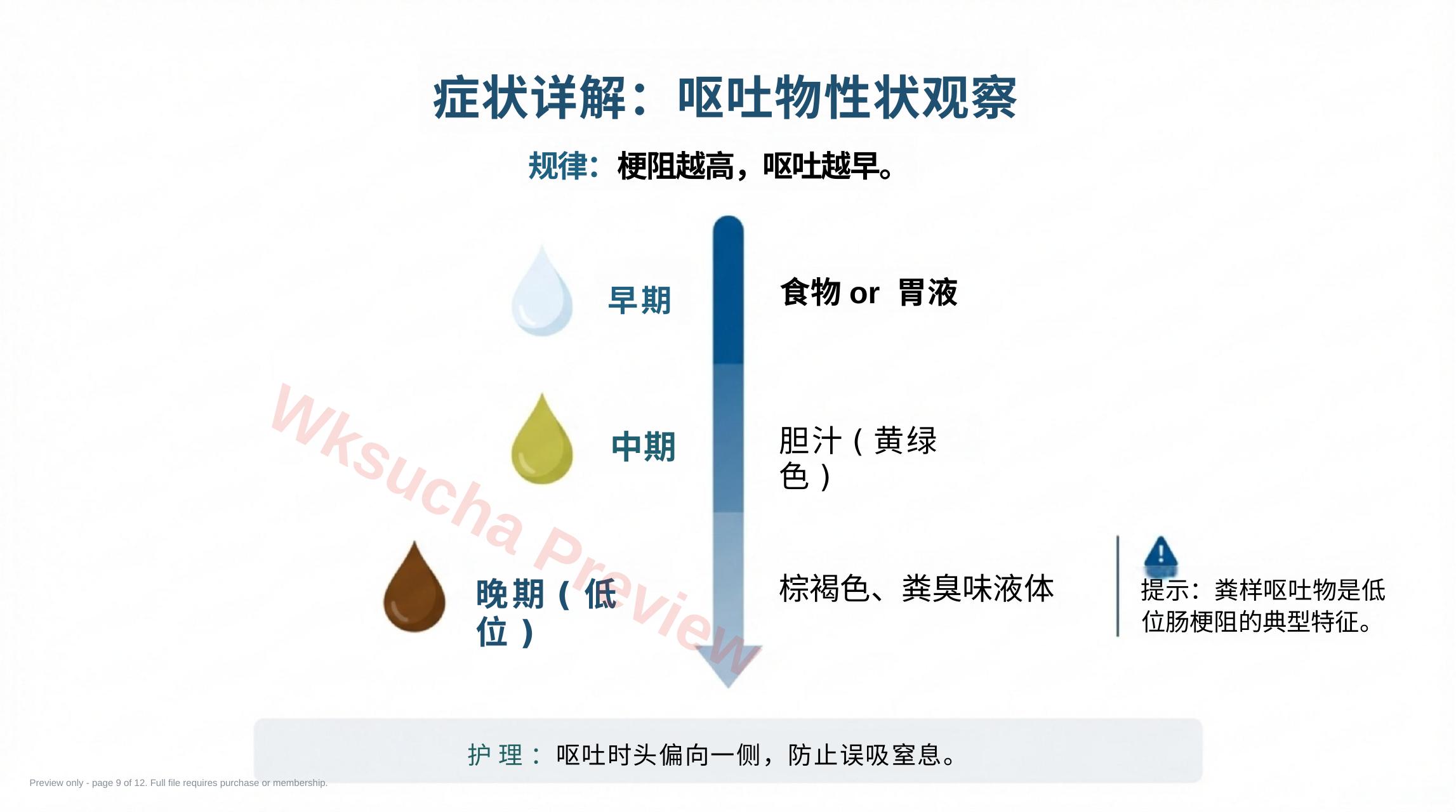预览第 9 页