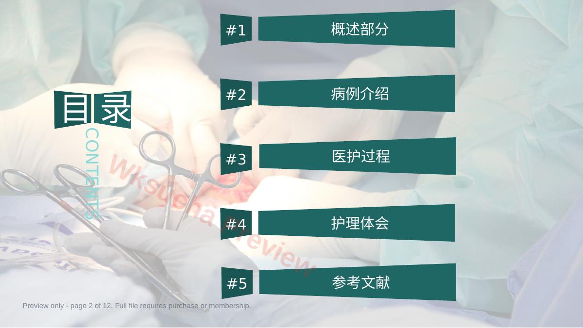 预览第 2 页
