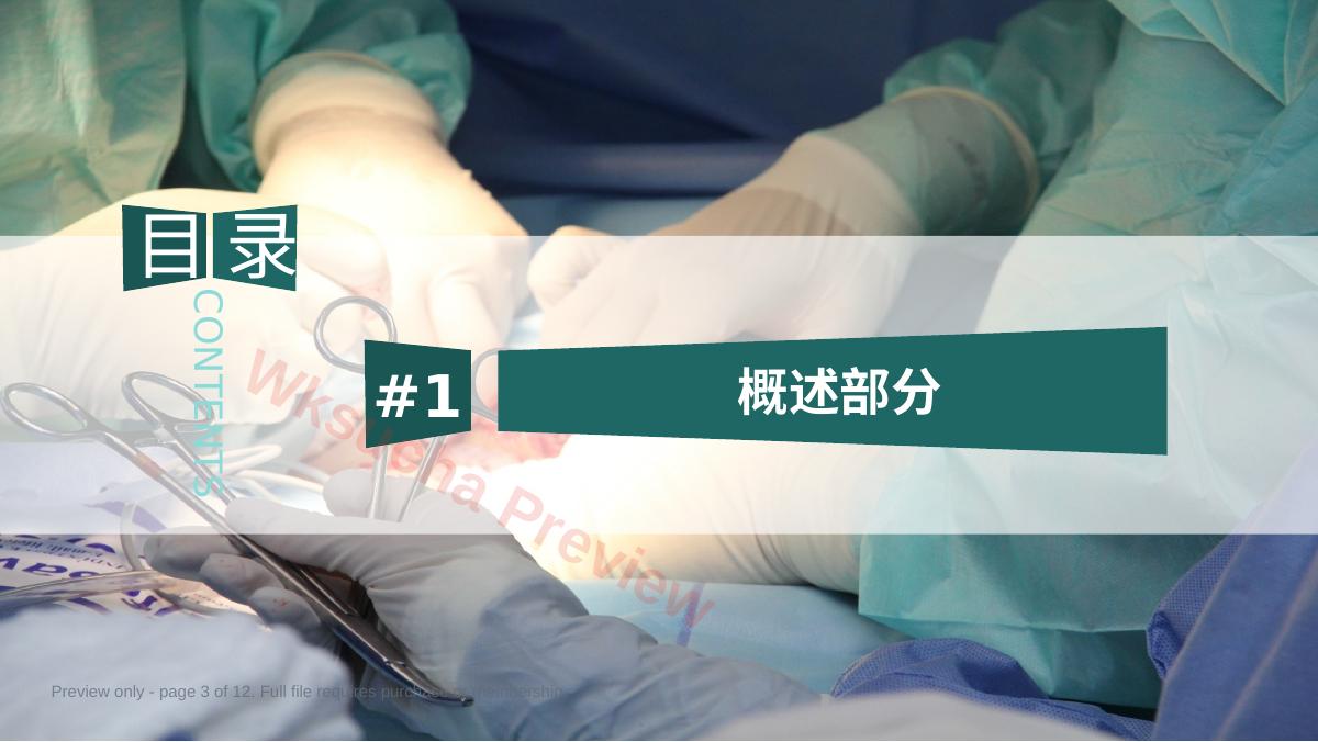 预览第 3 页