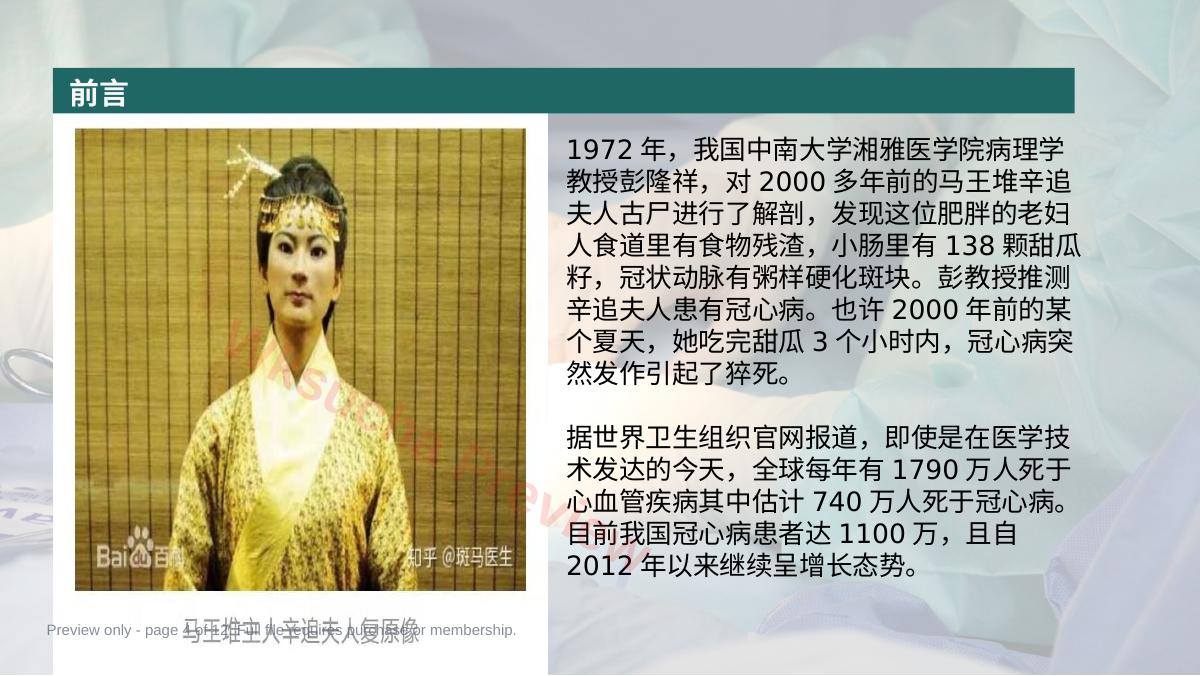 预览第 4 页