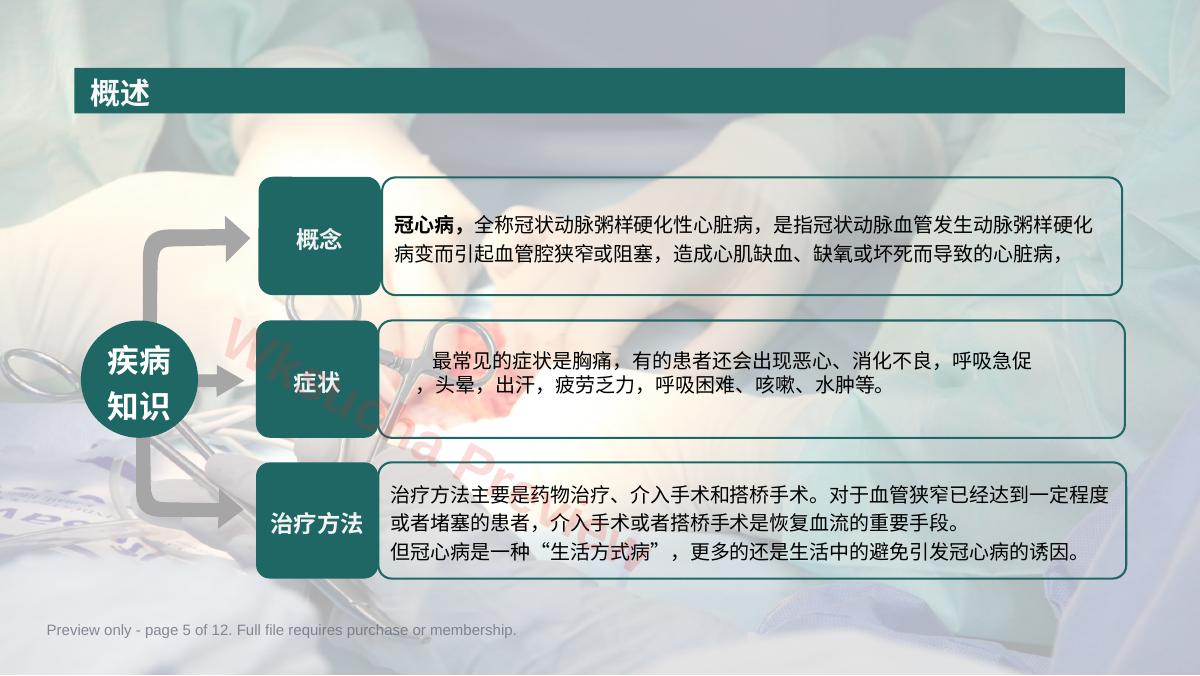 预览第 5 页