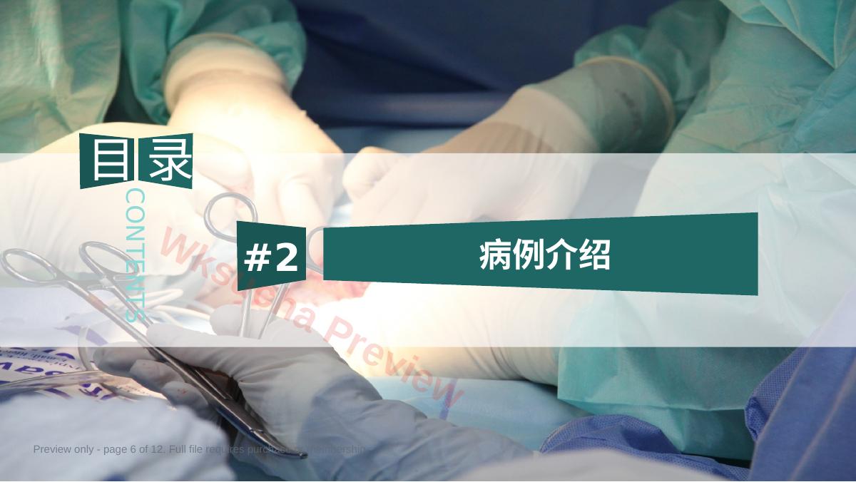 预览第 6 页