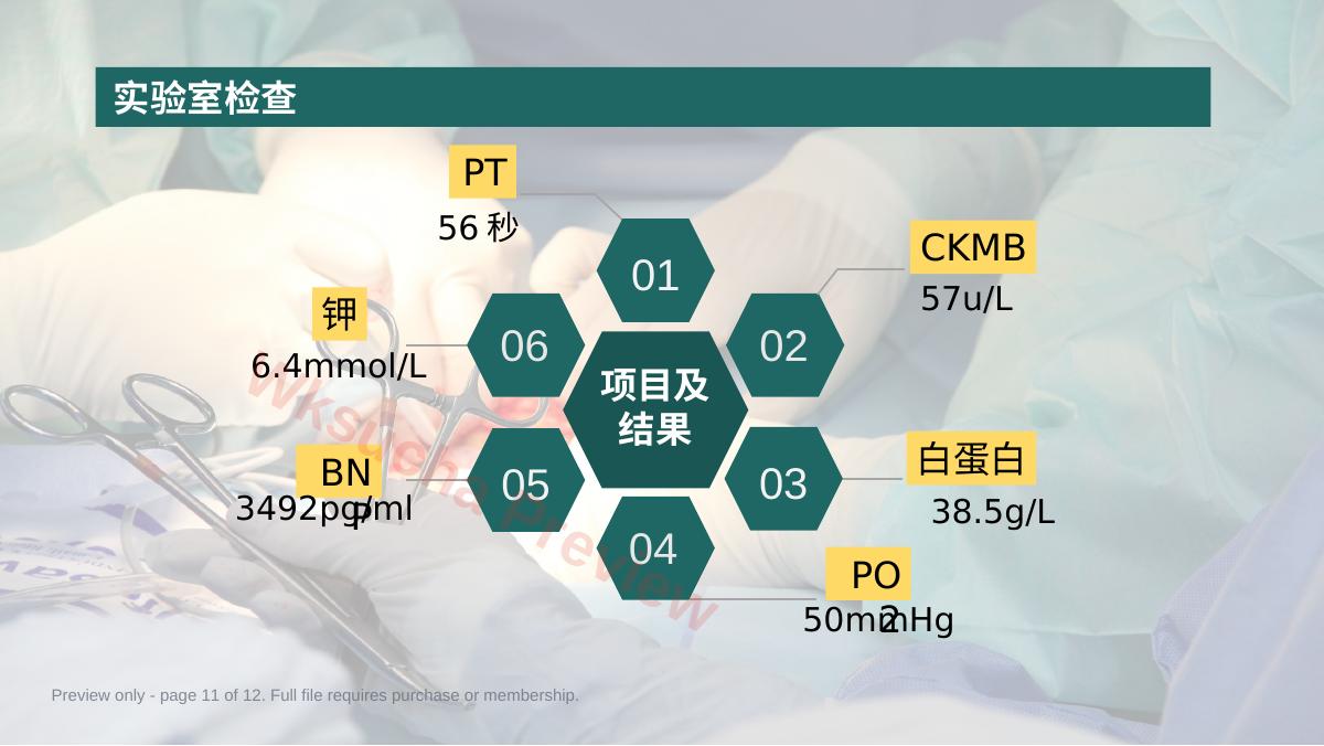 预览第 11 页