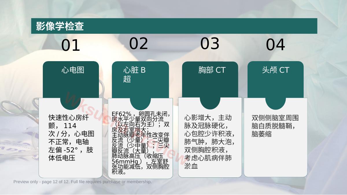 预览第 12 页
