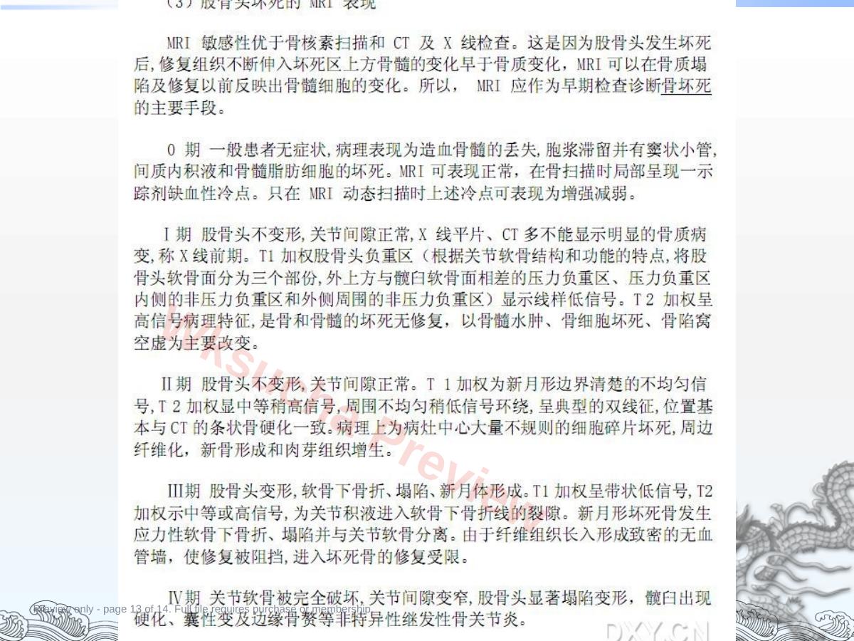 预览第 13 页