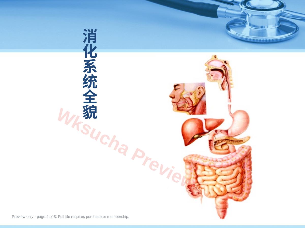 预览第 4 页