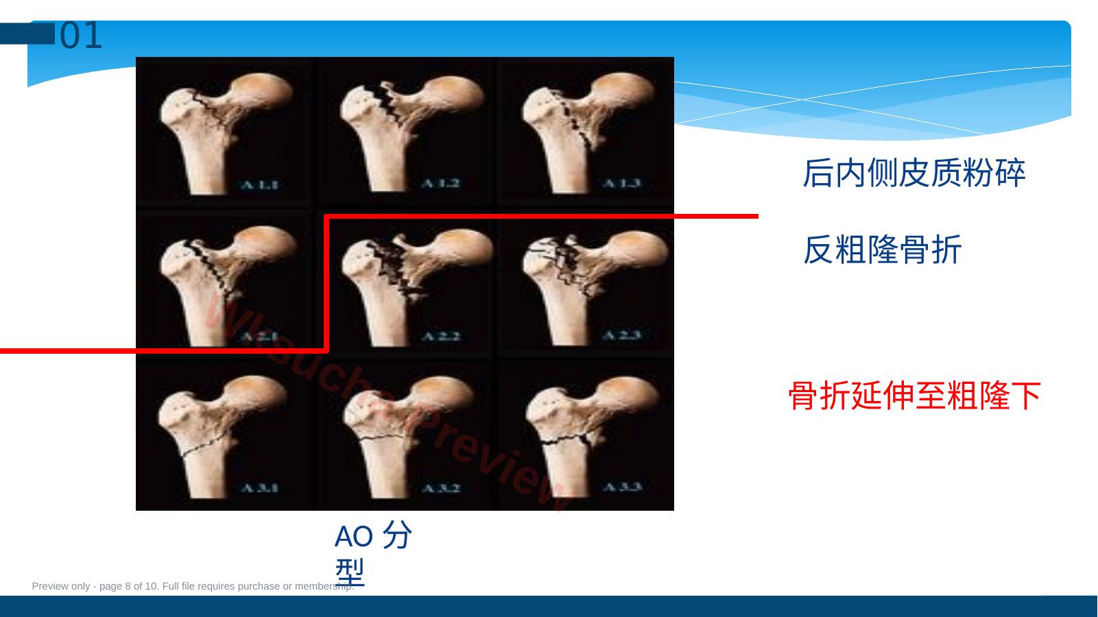 预览第 8 页