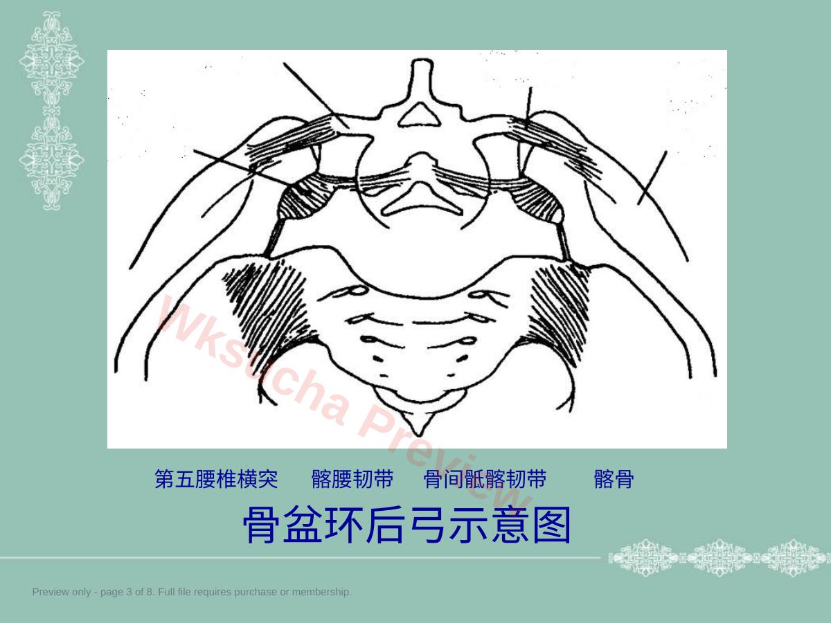 预览第 3 页