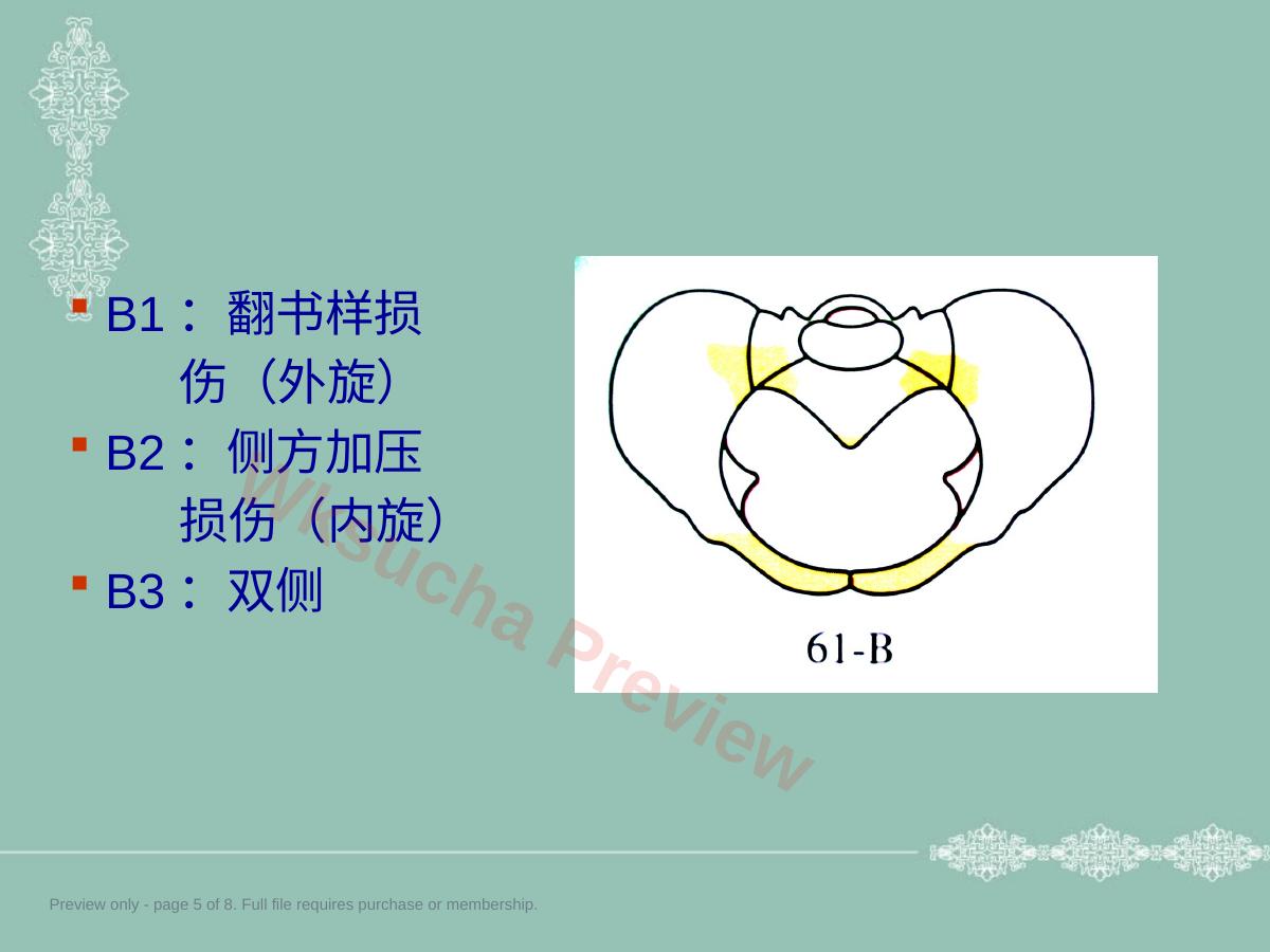 预览第 5 页