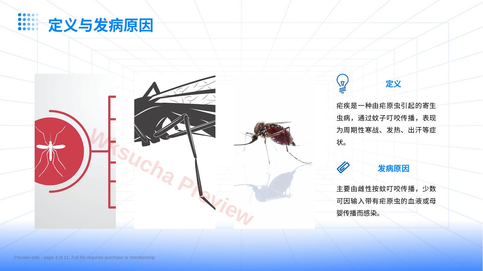 预览第 4 页