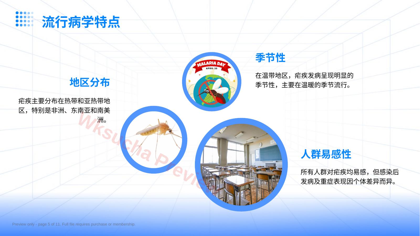预览第 5 页