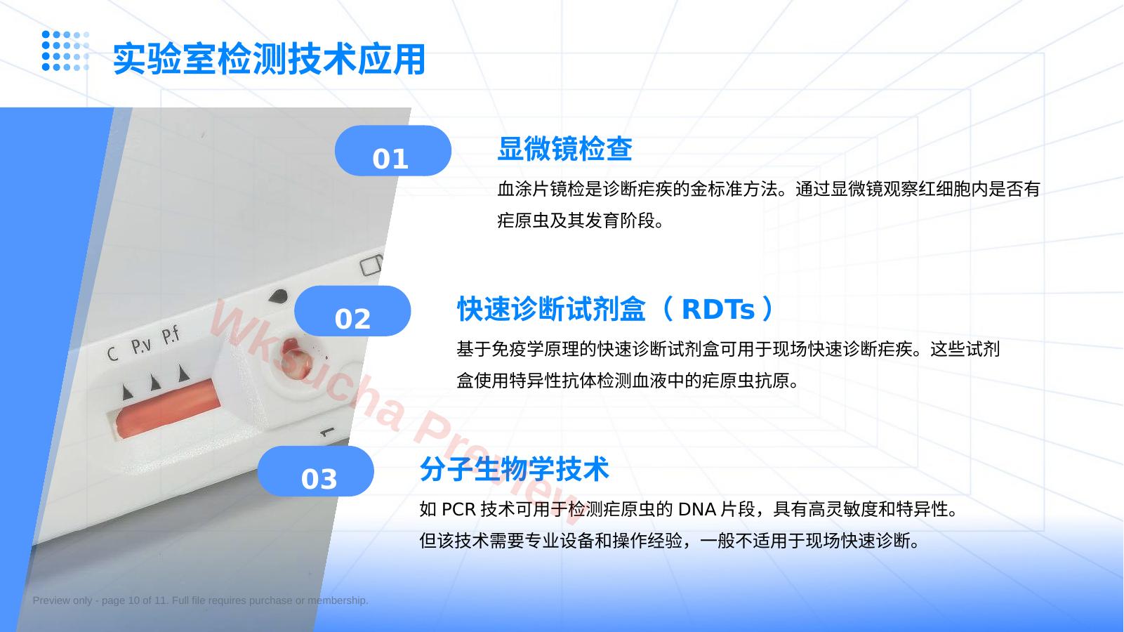 预览第 10 页
