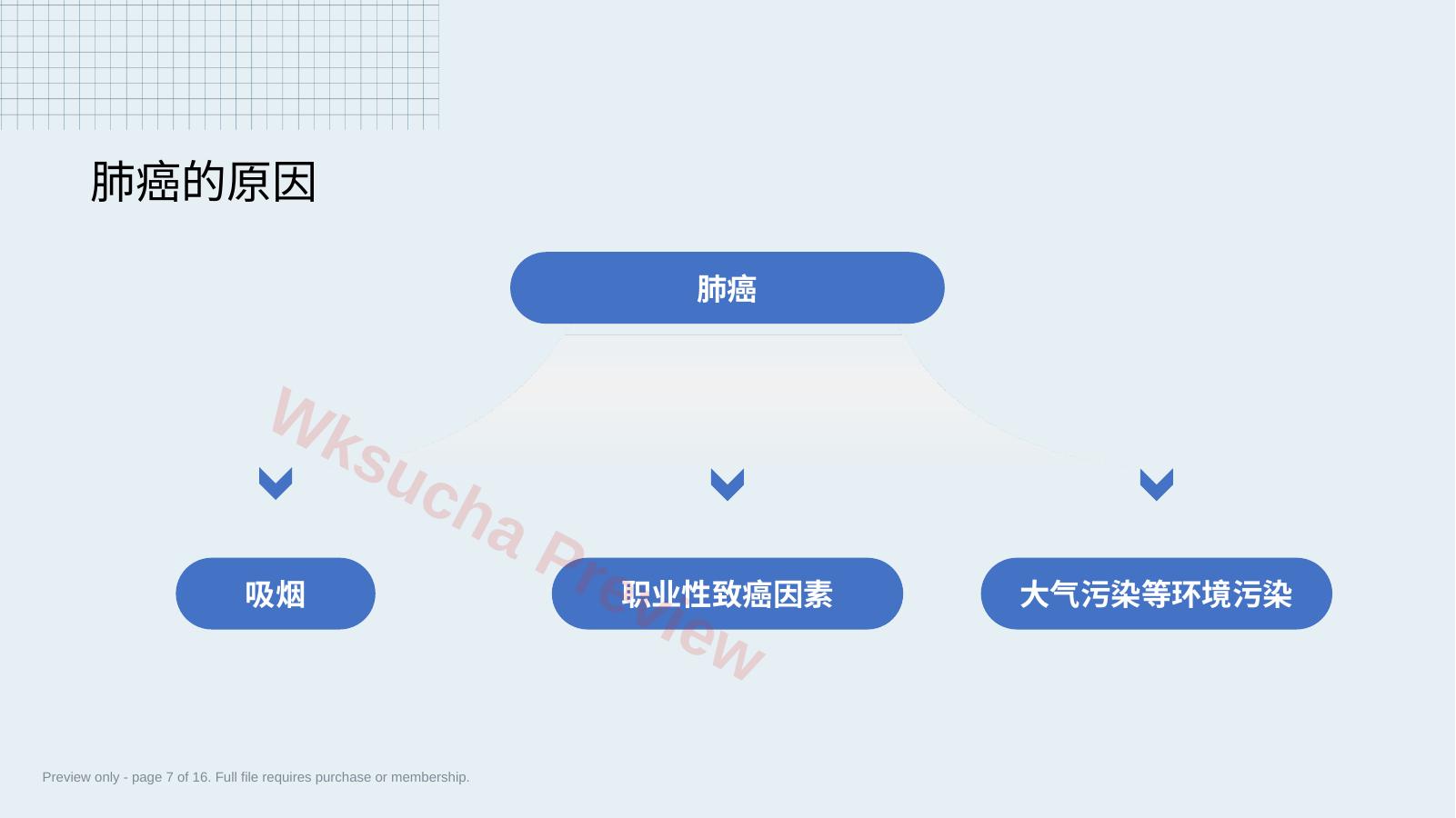 预览第 7 页