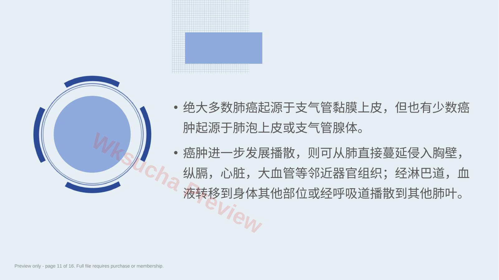 预览第 11 页