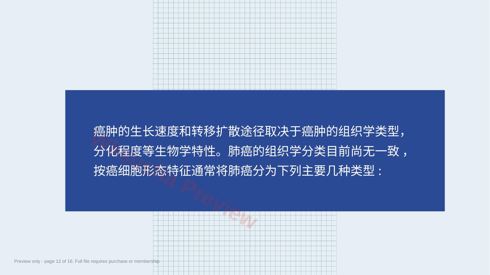 预览第 12 页