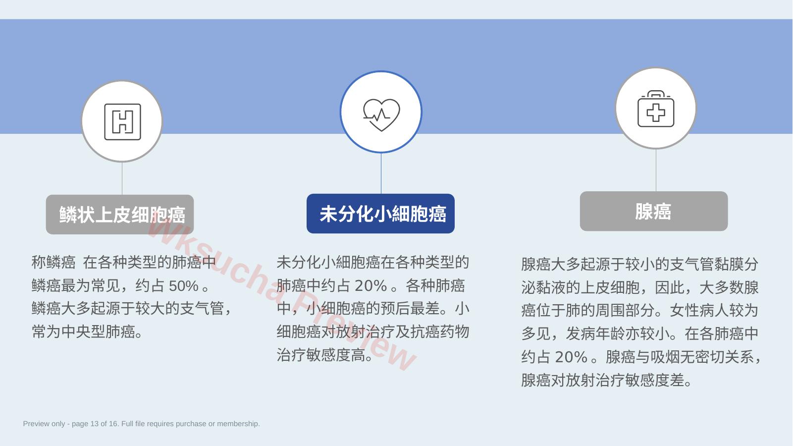 预览第 13 页