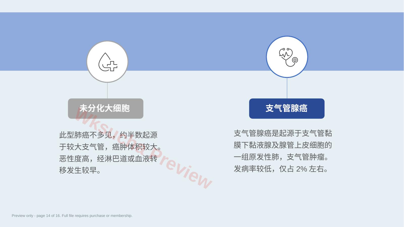 预览第 14 页