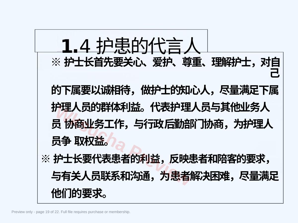 预览第 19 页
