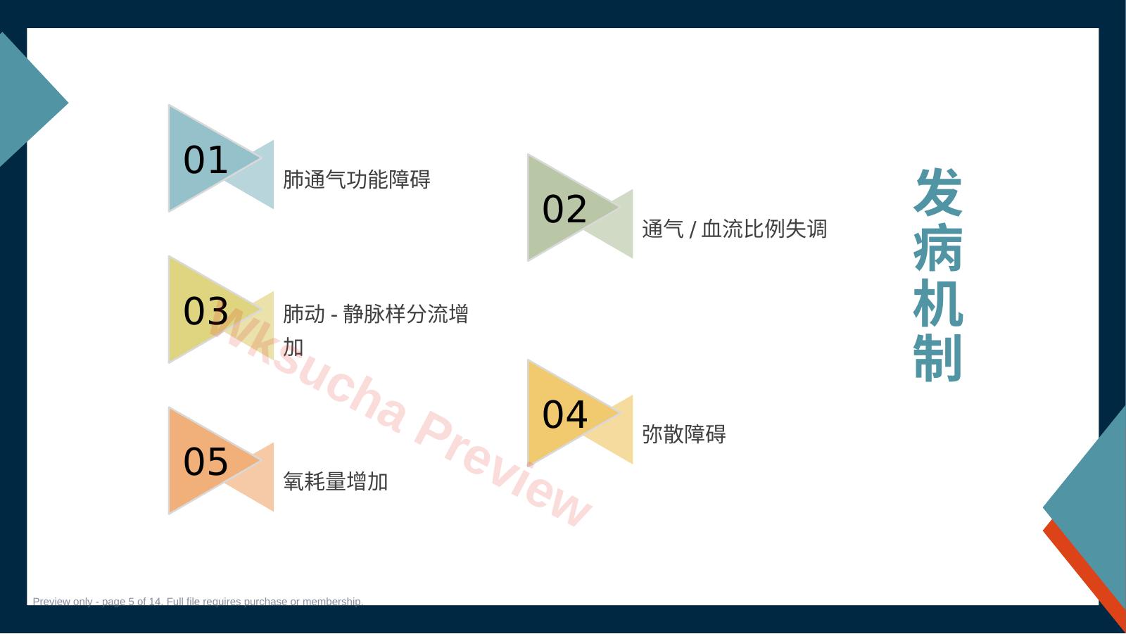 预览第 5 页