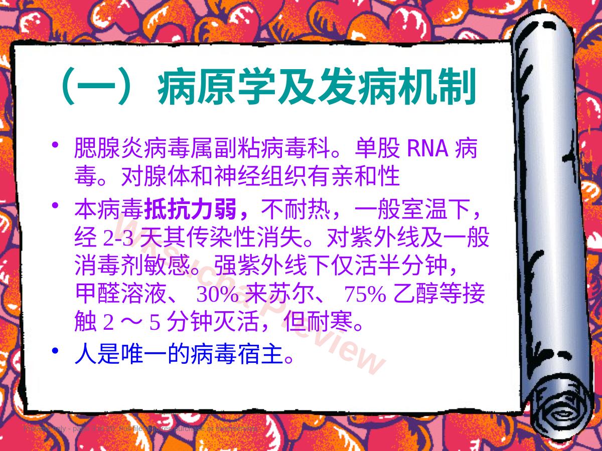 预览第 3 页