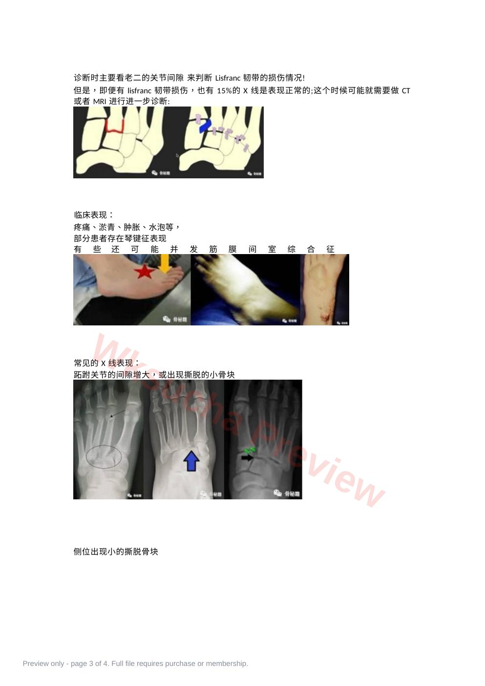 预览第 3 页