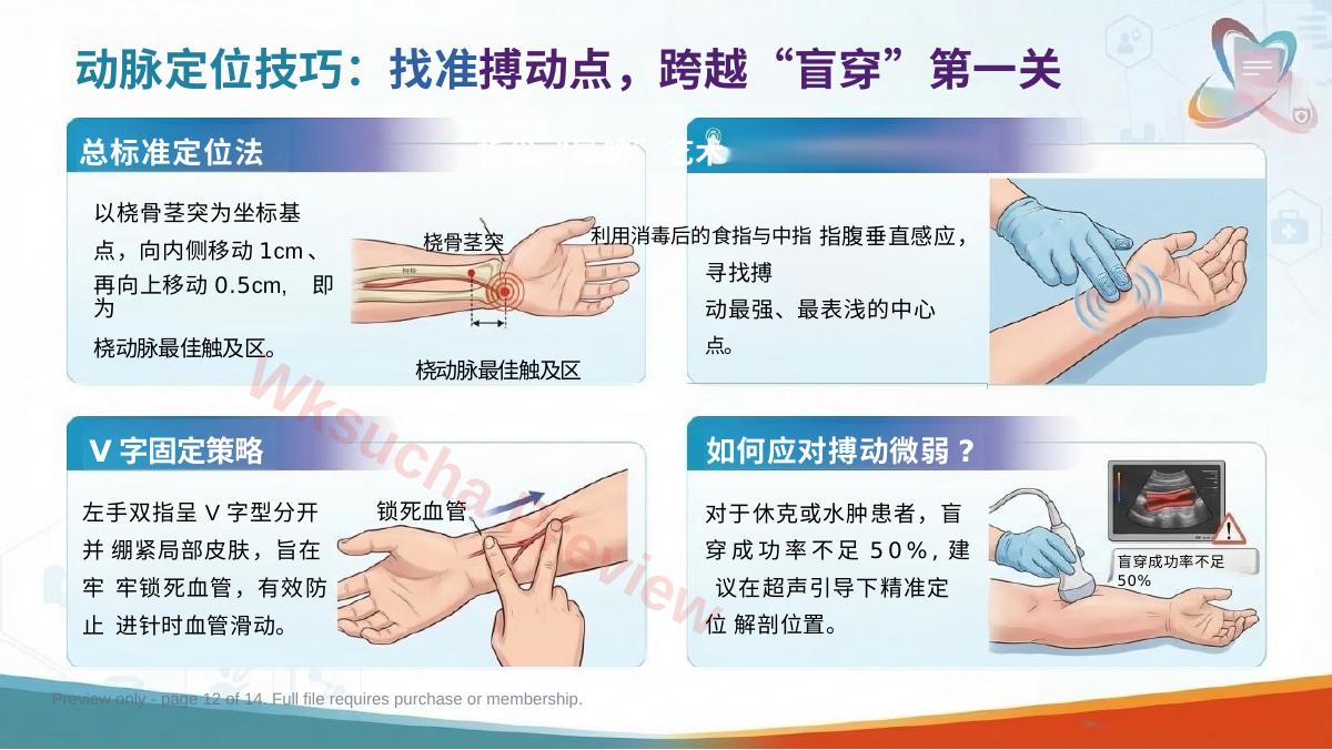 预览第 12 页