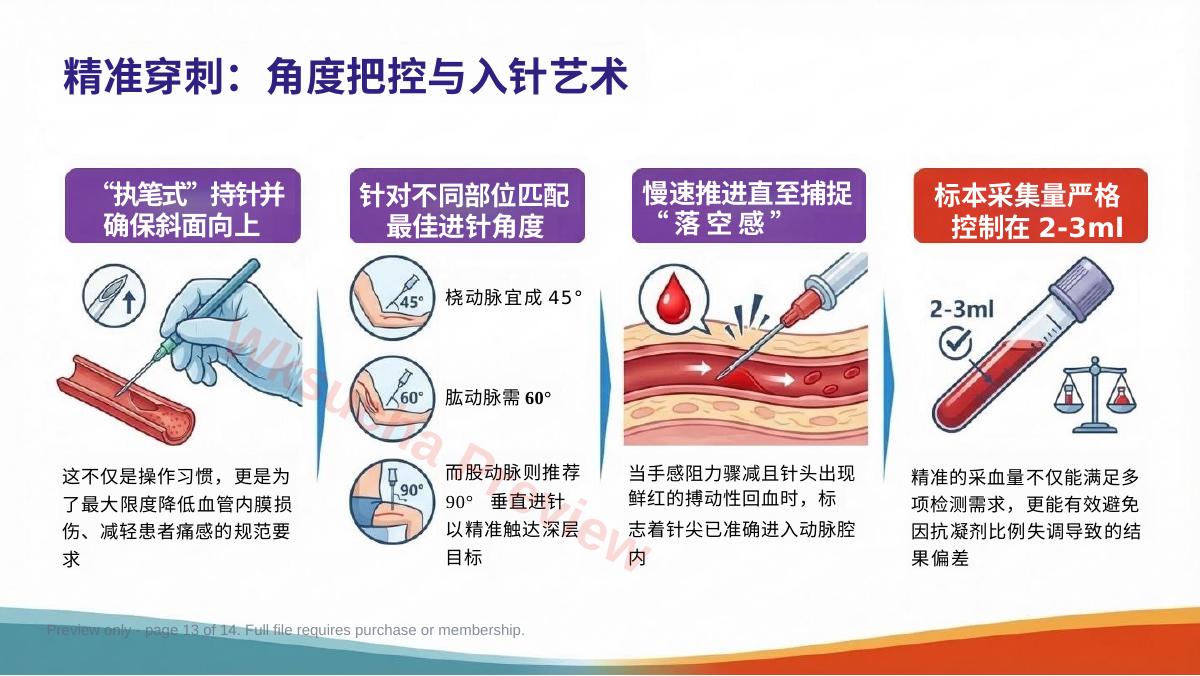 预览第 13 页