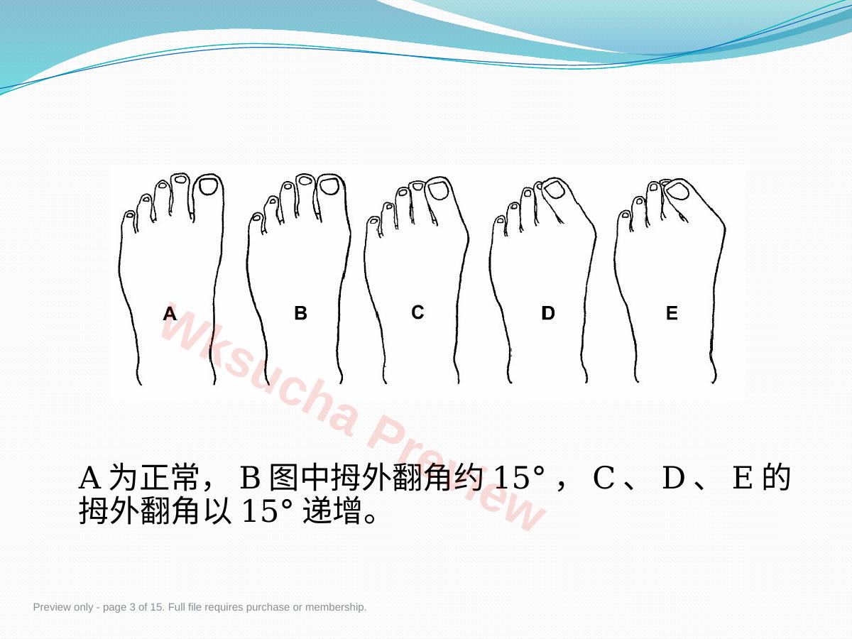 预览第 3 页