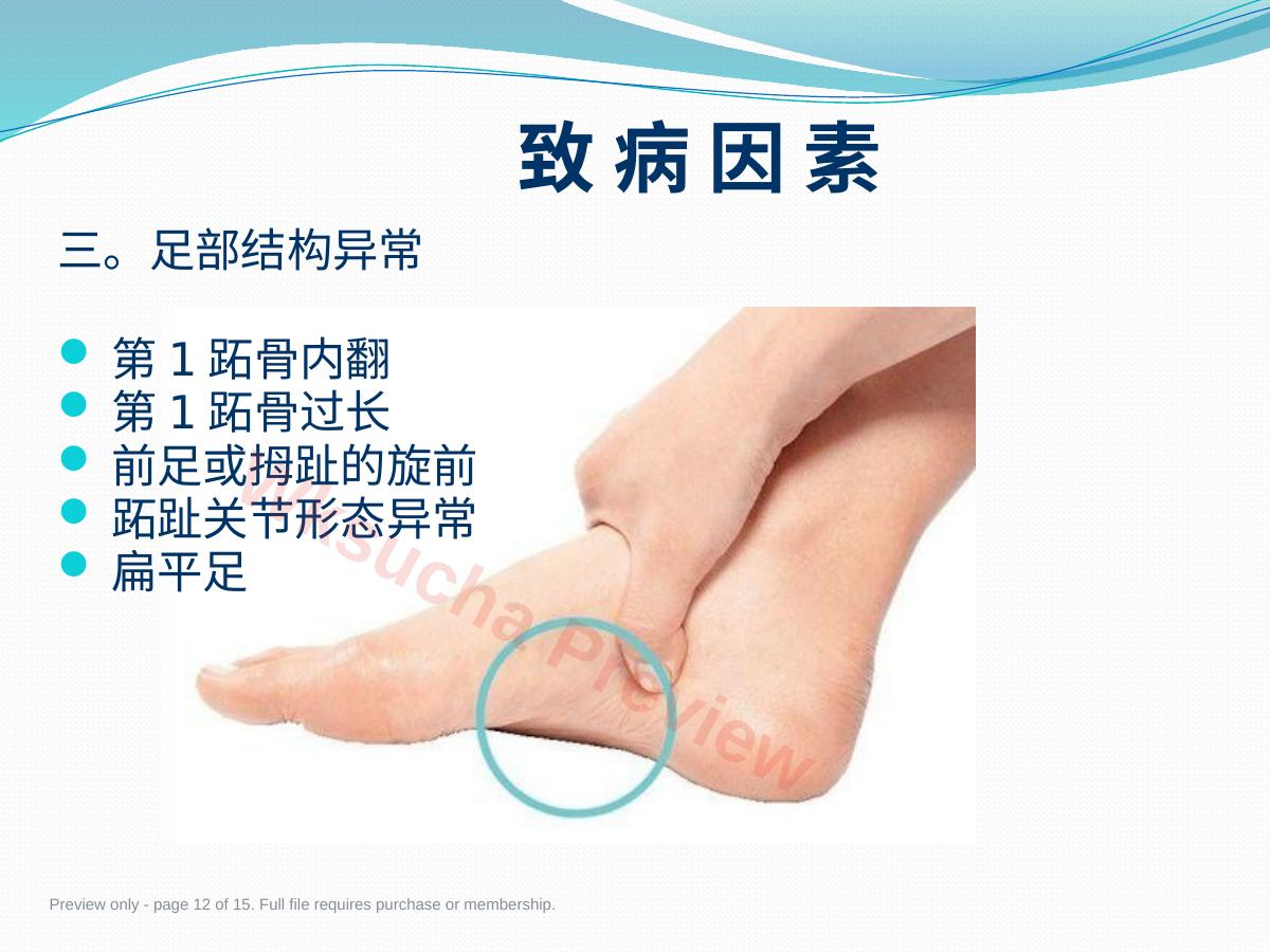 预览第 12 页
